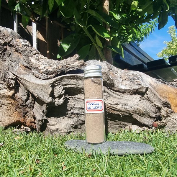 Rapé canela de velho