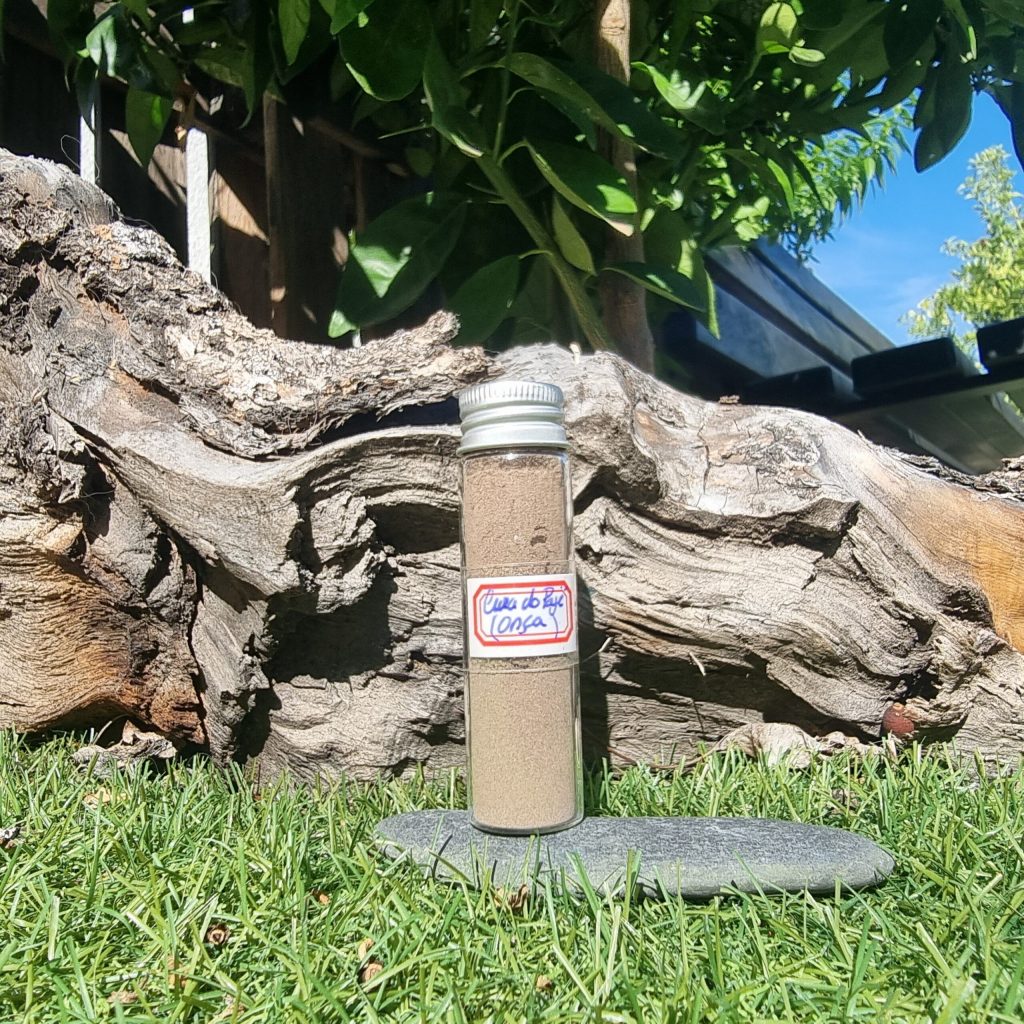 Shaman's Cure (Onça)